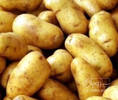 فروش سیب زمینی اسپریت