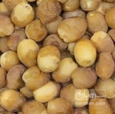 فروش خرما رطب