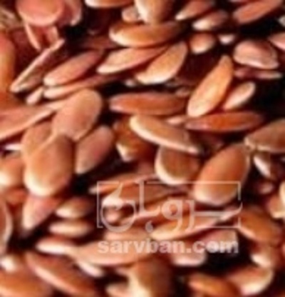 فروش کتان (گیاه الیافی)