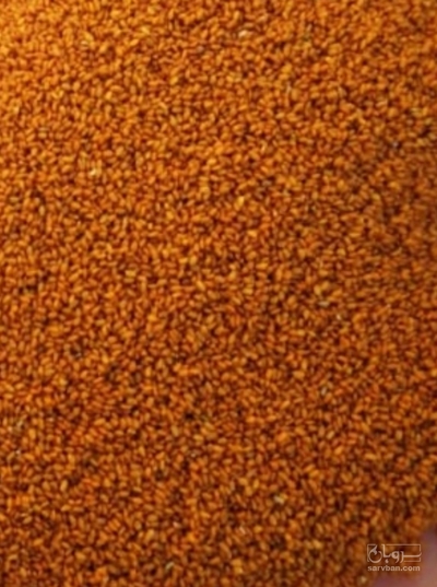 فروش خاکشیر (گیاه‌ دارویی)