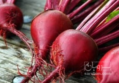 فروش چغندر قند