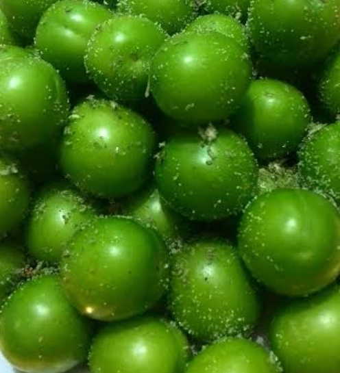 فروش گوجه سبز