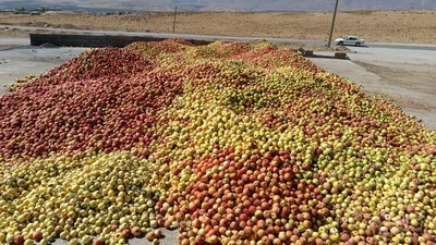 فروش سیب ضایعات درجه 3