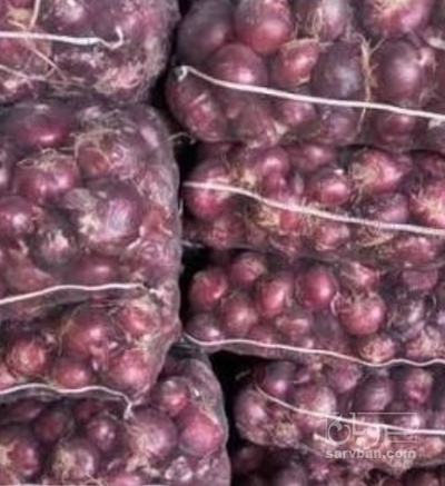 فروش پیاز قرمز