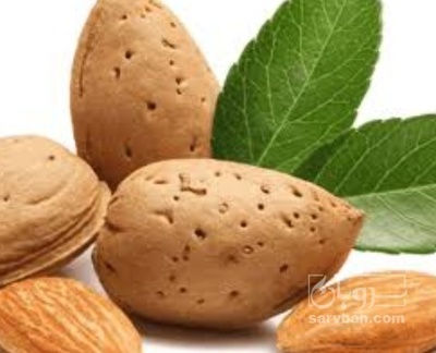 فروش بادام