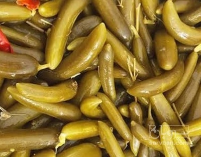 فروش خیار شور ویژه