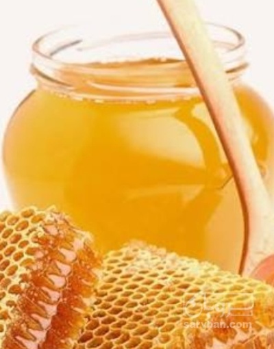 فروش عسل تغذیه