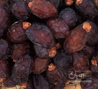 فروش خرما برحی