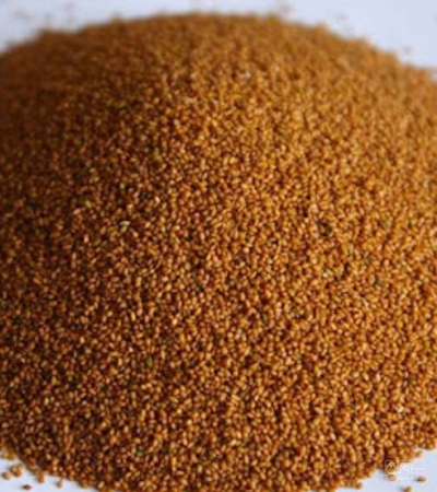 فروش خاکشیر (گیاه‌ دارویی)