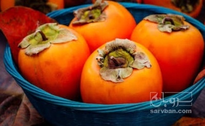 فروش خرمالو