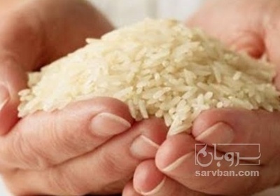 فروش برنج