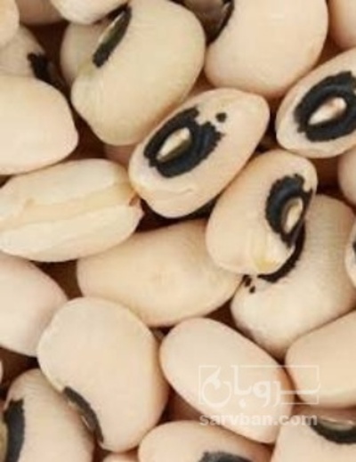 فروش لوبیا چشم بلبلی