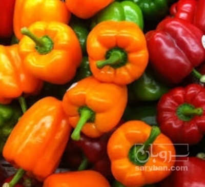 فروش فلفل دلمه ای