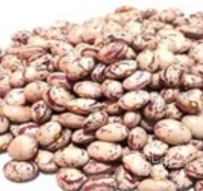 فروش لوبیا چیتی