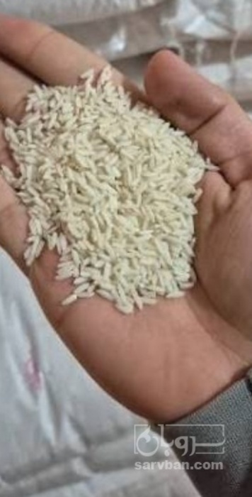 فروش برنج