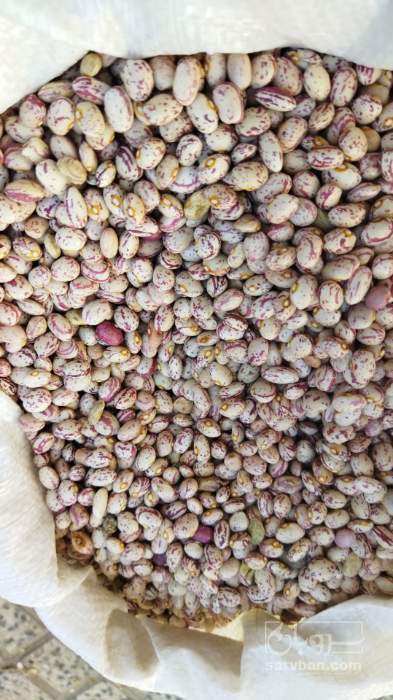 فروش لوبیا چیتی