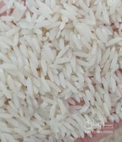 فروش برنج هاشمی