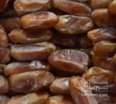 فروش خرما شاهانی