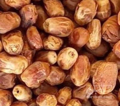 فروش خرما زاهدی