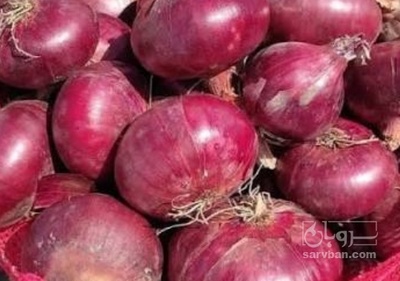 فروش پیاز قرمز