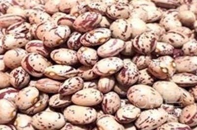 فروش لوبیا چیتی