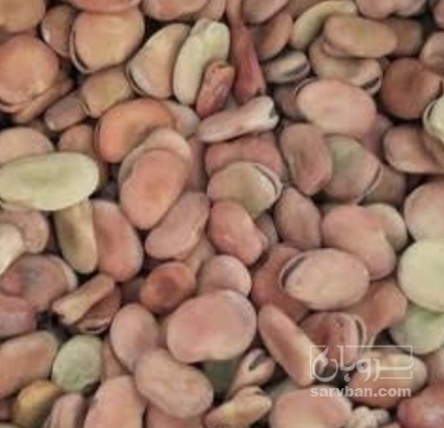 فروش باقلا خوراکی