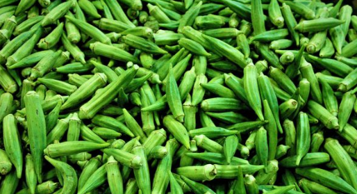 فروش بامیه