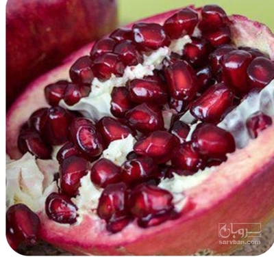 فروش انار