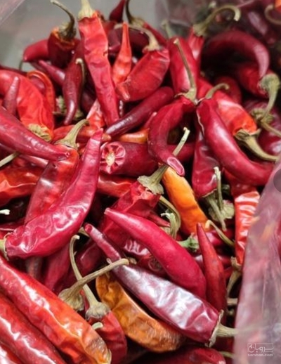 فروش فلفل