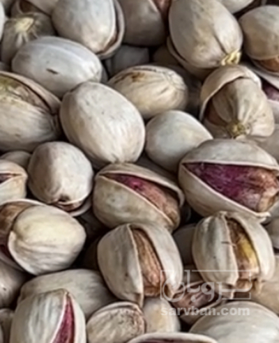 فروش پسته کله قوچی