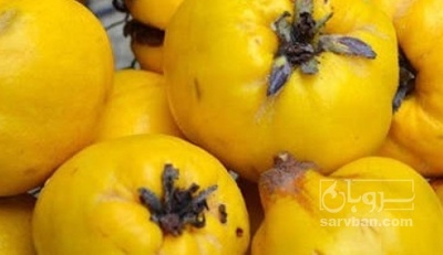 فروش به