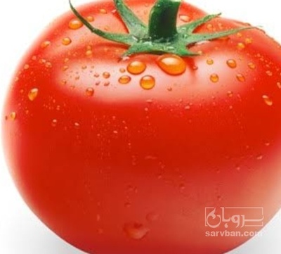 فروش گوجه فرنگی