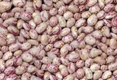 فروش لوبیا چیتی