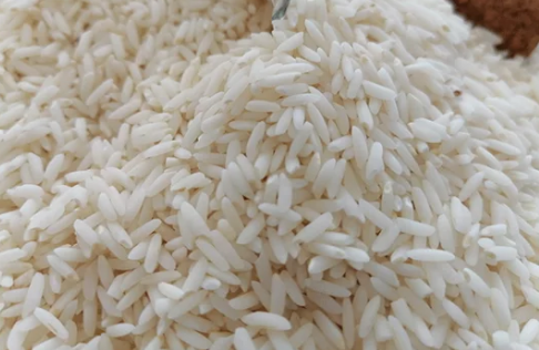 فروش محصولات زراعی