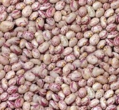 فروش لوبیا چیتی