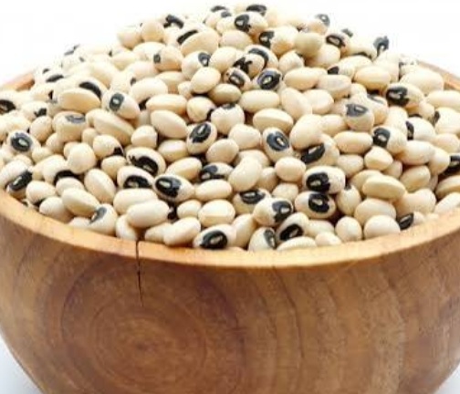 فروش لوبیا چشم بلبلی