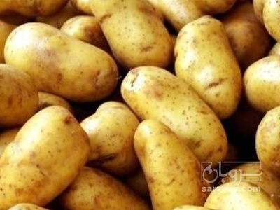 فروش سیب زمینی جلی
