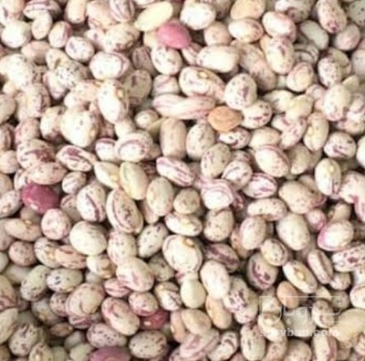 فروش لوبیا چیتی