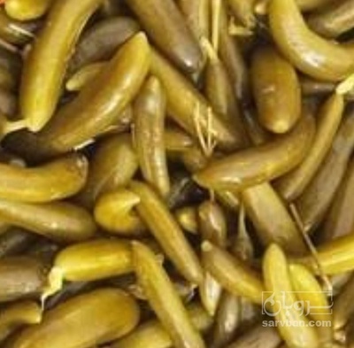 فروش خیار شور نول