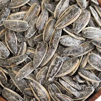 فروش تخمه آفتابگردان بود داده