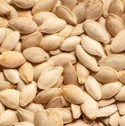 فروش تخمه کدو