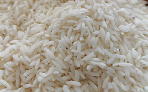 فروش برنج