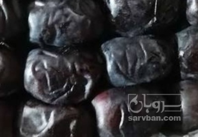 فروش خرما مضافتی
