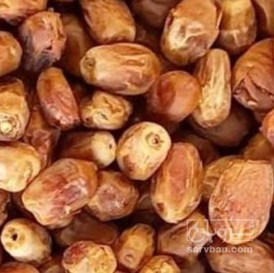 فروش خرما زاهدی
