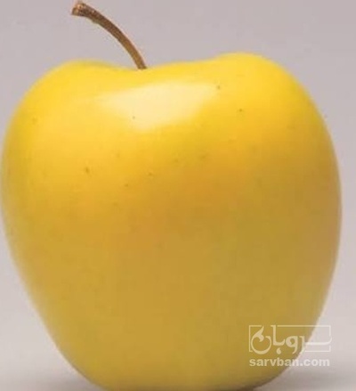 فروش سیب زرد