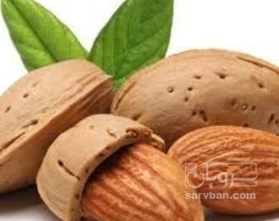 فروش بادام