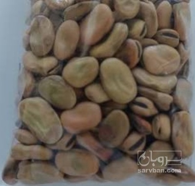 فروش باقلا تازه - باقالی - باقالا