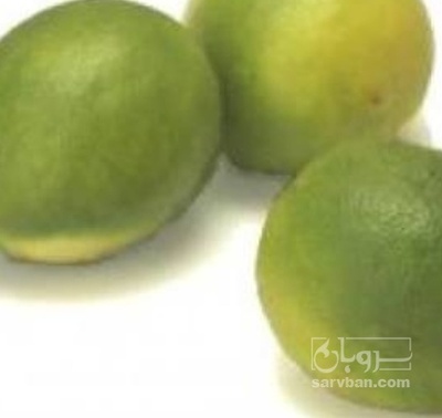 فروش لیمو ترش لایم کوات
