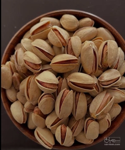 فروش پسته فندقی