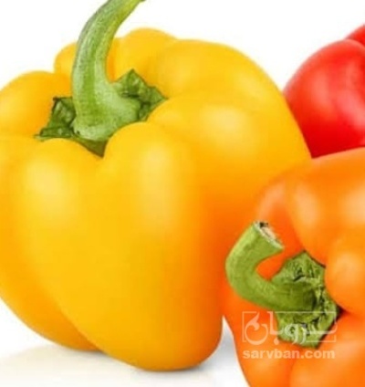 فروش فلفل دلمه ای